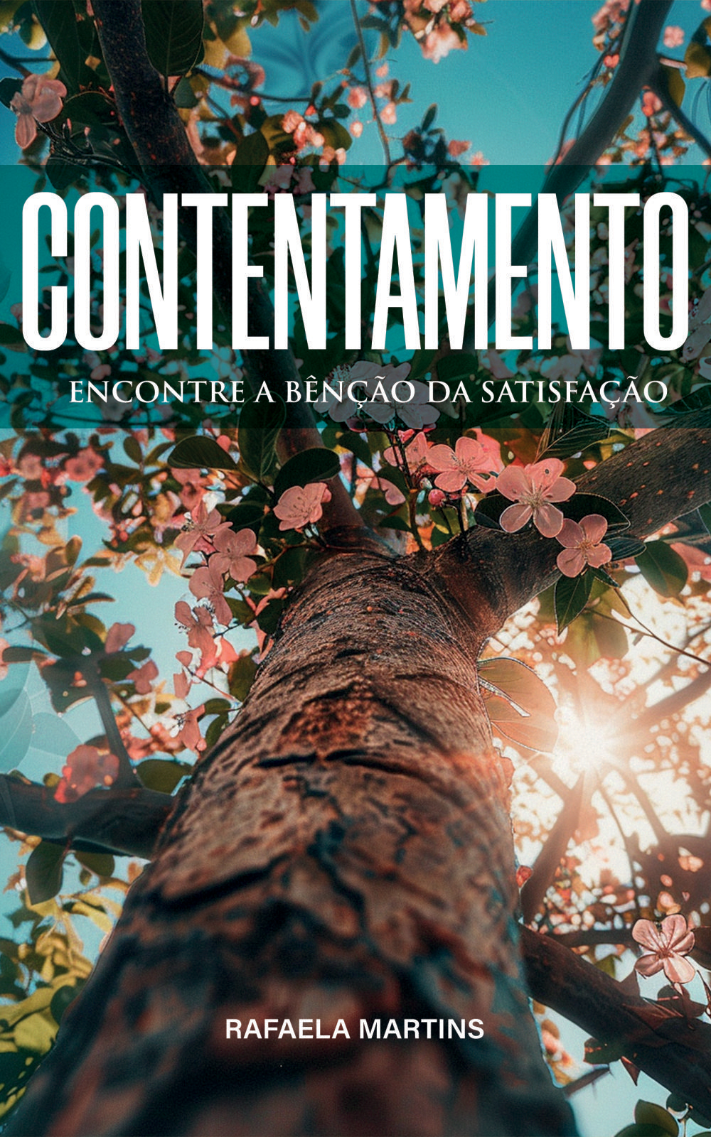 Livro Contentamento