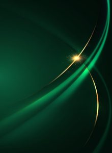 Modelos de governança