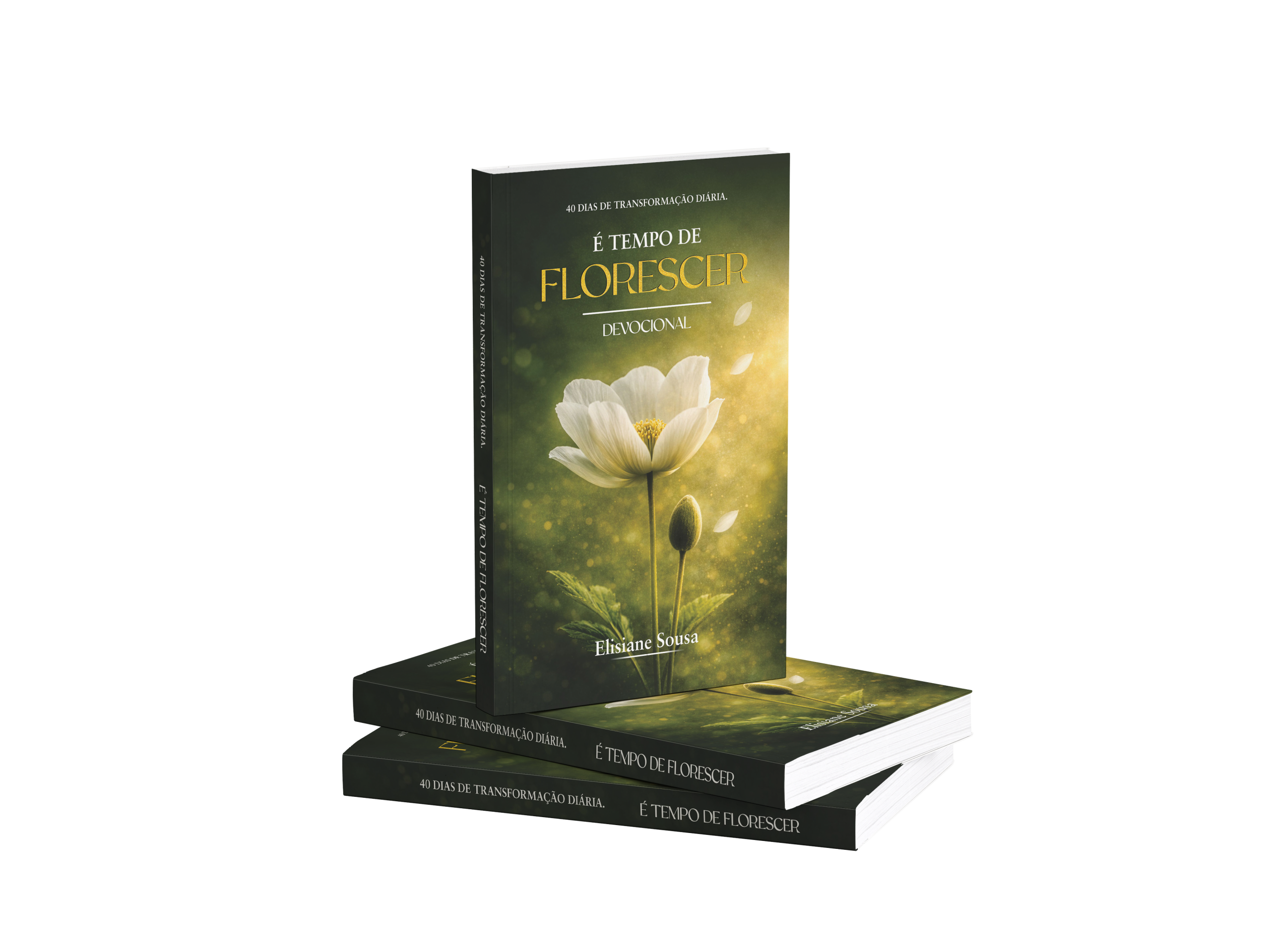 [Livro] 40 DIAS DE TRANSFORMAÇÃO DIÁRIA